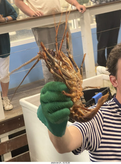 105 a1s. Astro Trails - Australia - lobsters tour