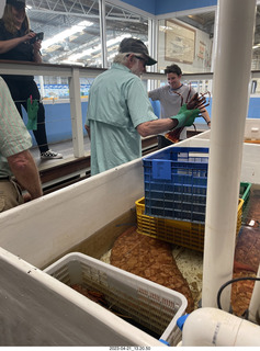 113 a1s. Astro Trails - Australia - lobsters tour