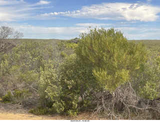 126 a1s. Astro Trails - Australia - driving