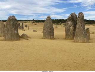 152 a1s. Astro Trails - Australia - Pinnacle park