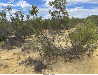 169 a1s. Astro Trails - Australia - Pinnacle park