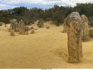 195 a1s. Astro Trails - Australia - Pinnacle park