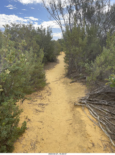 218 a1s. Astro Trails - Australia - Pinnacle park