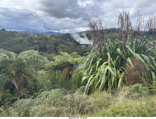 85 a1s. New Zealand - Thermal Hot Springs - Te Puia