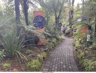 95 a1s. New Zealand - Thermal Hot Springs - Te Puia