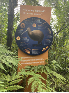 96 a1s. New Zealand - Thermal Hot Springs - Te Puia