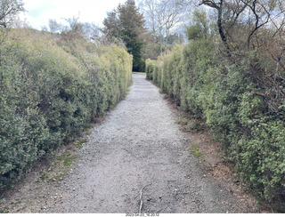 267 a1s. New Zealand - Hell's Gate - mud and thermal walk