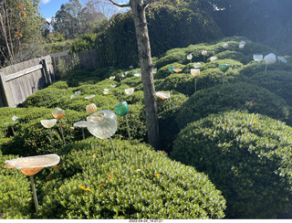 154 a1s. New Zealand - Lava Glass