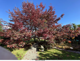 159 a1s. New Zealand - Lava Glass