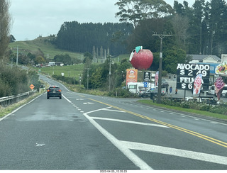 45 a1s. New Zealand - driving