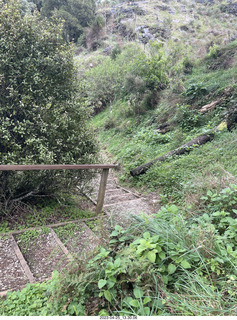 104 a1s. New Zealand - Spellbound Glowworm & Cave Tours - down to the cave