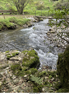 116 a1s. New Zealand - Spellbound Glowworm & Cave Tours - down to the cave - creek