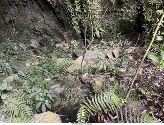 154 a1s. New Zealand - Spellbound Glowworm & Cave Tours - creek