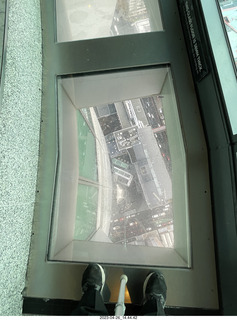 New Zealand - Auckland Sky Tower 51st floor view down through glass