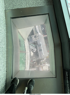 New Zealand - Auckland Sky Tower 51st floor view down through glass