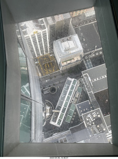 New Zealand - Auckland Sky Tower 51st floor view down through glass