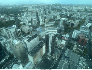New Zealand - Auckland Sky Tower 51st floor view