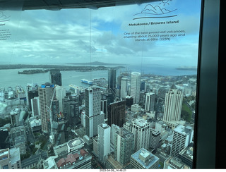New Zealand - Auckland Sky Tower 51st floor view