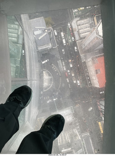New Zealand - Auckland Sky Tower 51st floor view