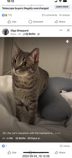 Instagram - cat Potato