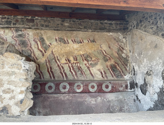 58 a24. Teotihuacan - Temple of the Sun - jaguar painting