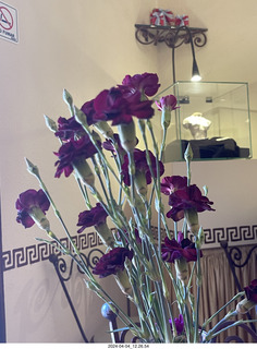 17 a24. San Miguel de Allende - flowers