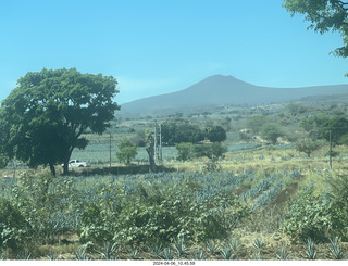 33 a24. Jose Cuerto train to Tequlia