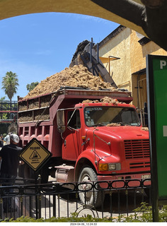 97 a24. town of Tequila tour  - how they make tequila