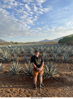 230 a24. harvesting stop + Adam