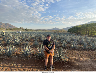 234 a24. harvesting stop + Adam