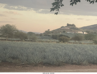 237 a24. harvesting stop