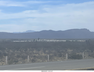 20 a24. long drive to Torreon - weird plants