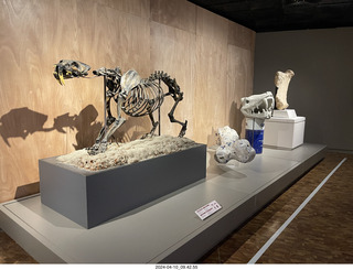 16 a24. Mexico City - Museum of Anthropology