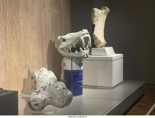 17 a24. Mexico City - Museum of Anthropology