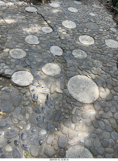 165 a24. Mexico City - Museum of Anthropology