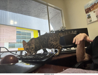 Adam and cat Pickle
