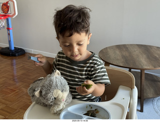 Midtown Manhattan apartment - Anthony Jr. and his toy cat