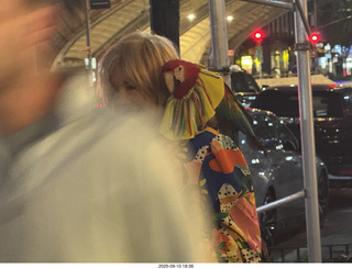 Midtown Manhattan - Anthony and Jr.