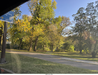 Philly woods