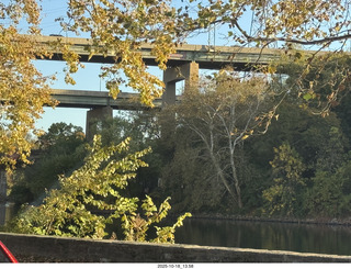 Philly woods