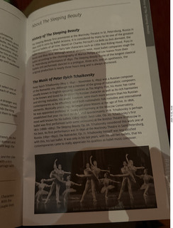 BBallet Arizona Sleeping Beauty program