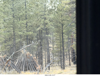 90 a2n. Bryce Canyon National Park wood gathering