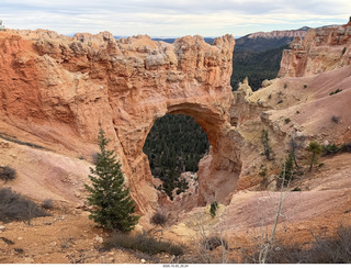 270 a2n. TF - Bryce Canyon National Park - Natural Bridge (actually an arch)