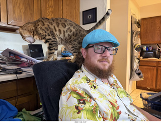 cat Pickle