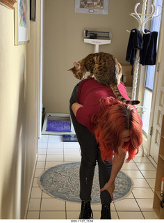 cats Pickle and Potato