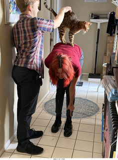 cats Pickle and Potato