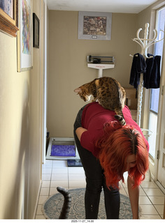 cats Pickle and Potato