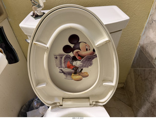 Birds' Mickey Mouse wallpaper