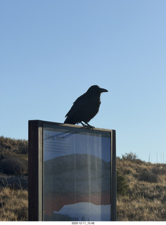 415 a2q. Utah - Canyonlands National Park - Mesa Arch hike sign - raven