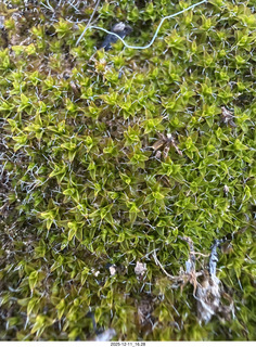 461 a2q. Utah - Canyonlands National Park